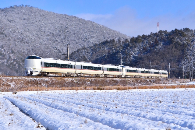 特急きのさきの電車